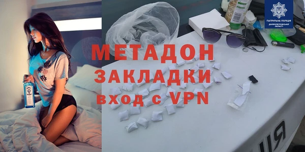 прущие грибы Михайлов