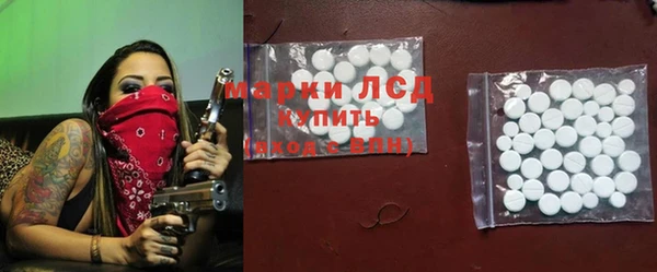 прущие грибы Михайлов
