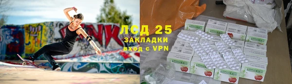 прущие грибы Михайлов