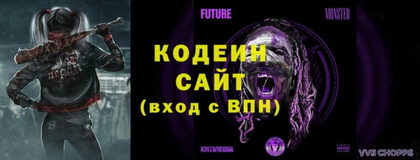 мдпв Михайловск