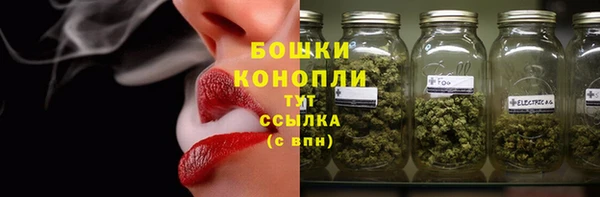 мдпв Михайловск