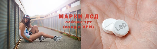 прущие грибы Михайлов