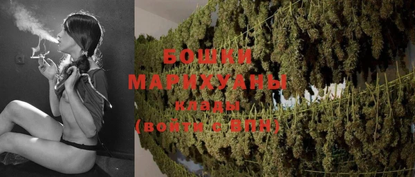 мдпв Михайловск