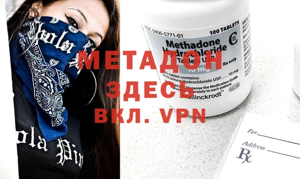 прущие грибы Михайлов