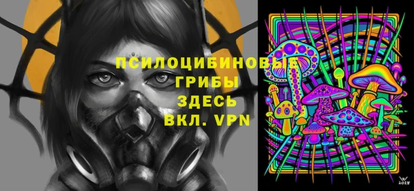 мдпв Михайловск