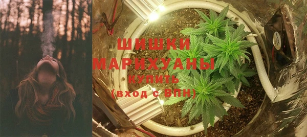 прущие грибы Михайлов