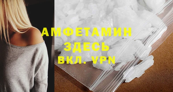 прущие грибы Михайлов