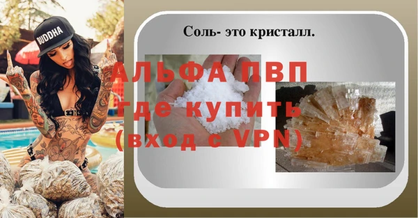 прущие грибы Михайлов