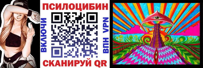 Псилоцибиновые грибы Cubensis  цены   Усть-Кут 