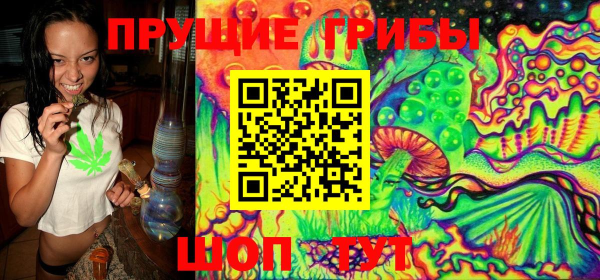 Псилоцибиновые грибы Psilocybine cubensis Усть-Кут