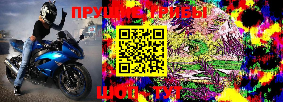 Галлюциногенные грибы мицелий  Псилоцибиновые грибы мицелий  продажа наркотиков  Усть-Кут 