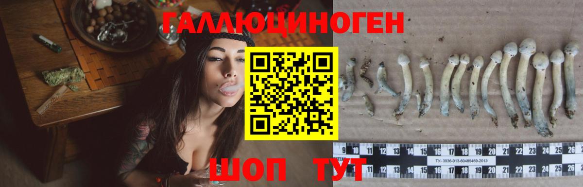 Псилоцибиновые грибы Magic Shrooms Усть-Кут